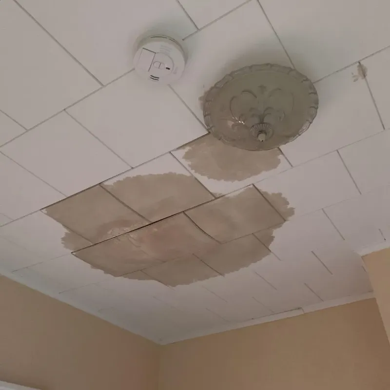Ceiling Water Damage Repair in Collins, MS