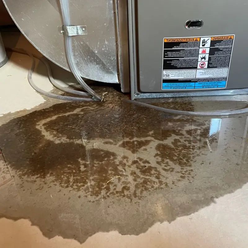 Pipe Burst and Leak Restoration in Collins, MS