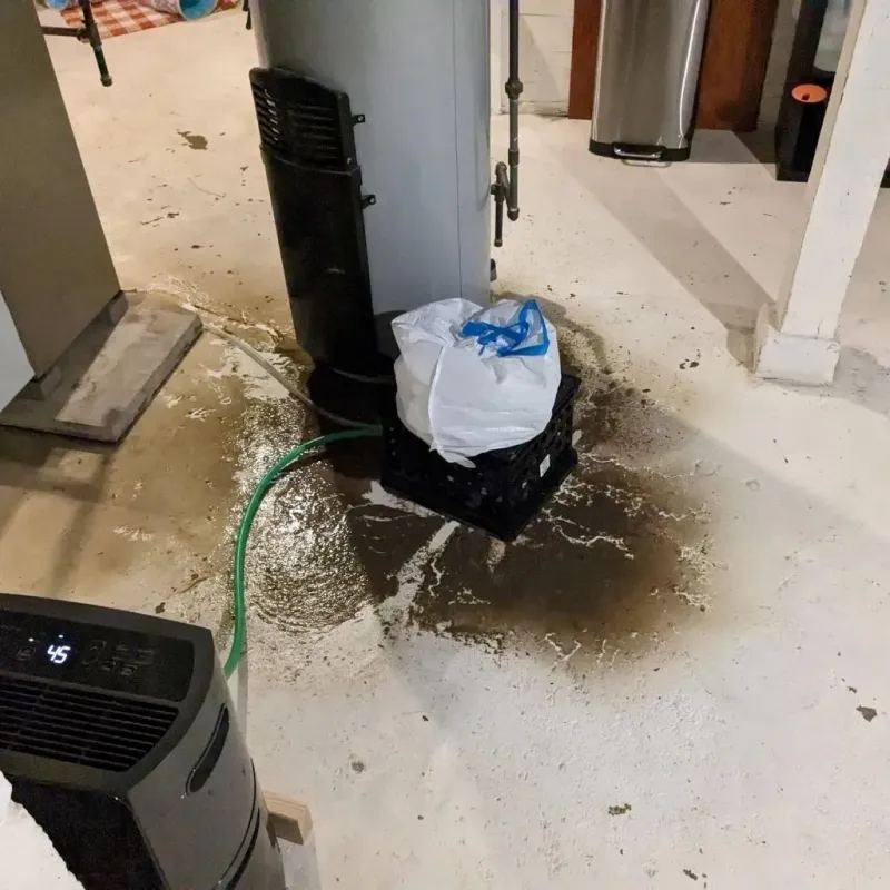 Sewage Backup Cleanup Service in Collins, MS